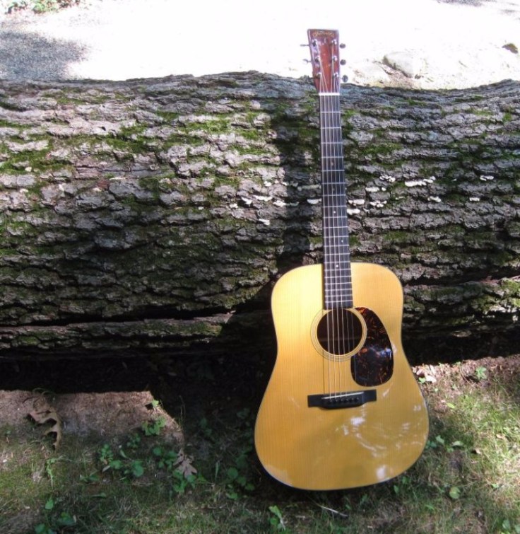 IMG_1126-3_zps78499f54