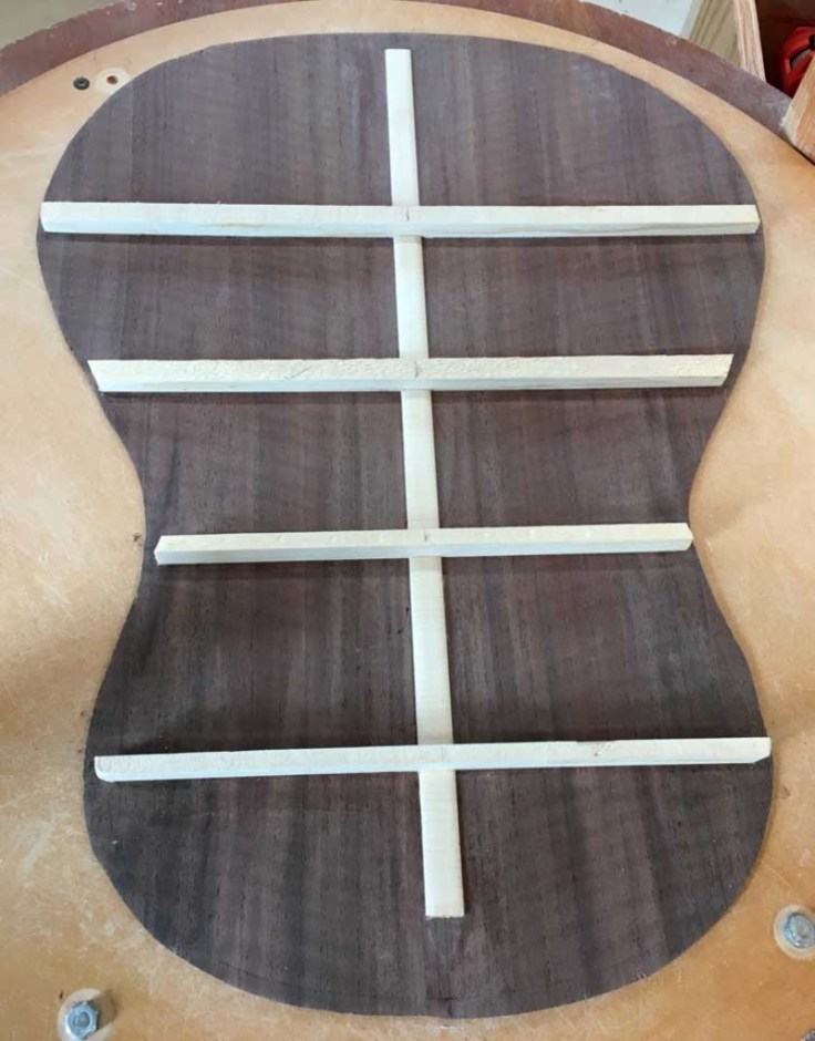 ToddBackBracesIn_zpsbzrtqerp