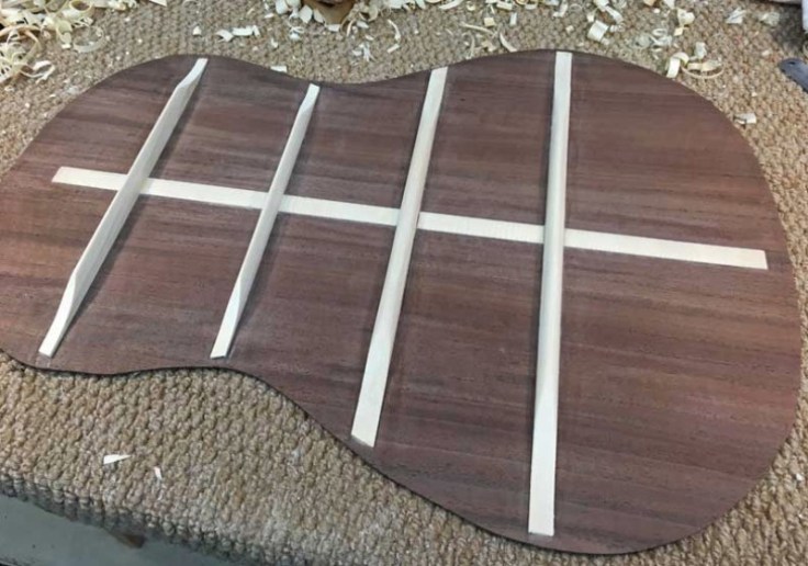 ToddBackBracesShaped_zpsnrrki0u5