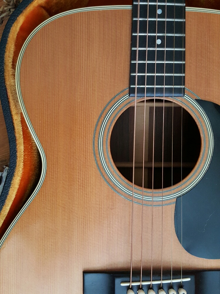 20180625_123151_resized