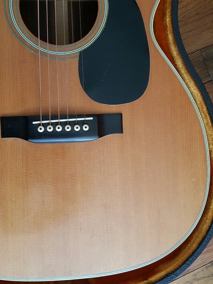 20180625_123201_resized