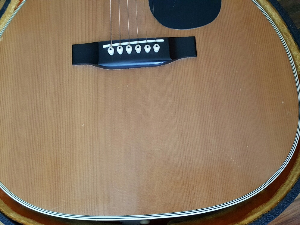 20180625_123225_resized