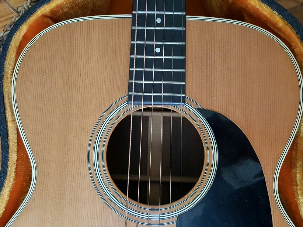 20180625_123231_resized