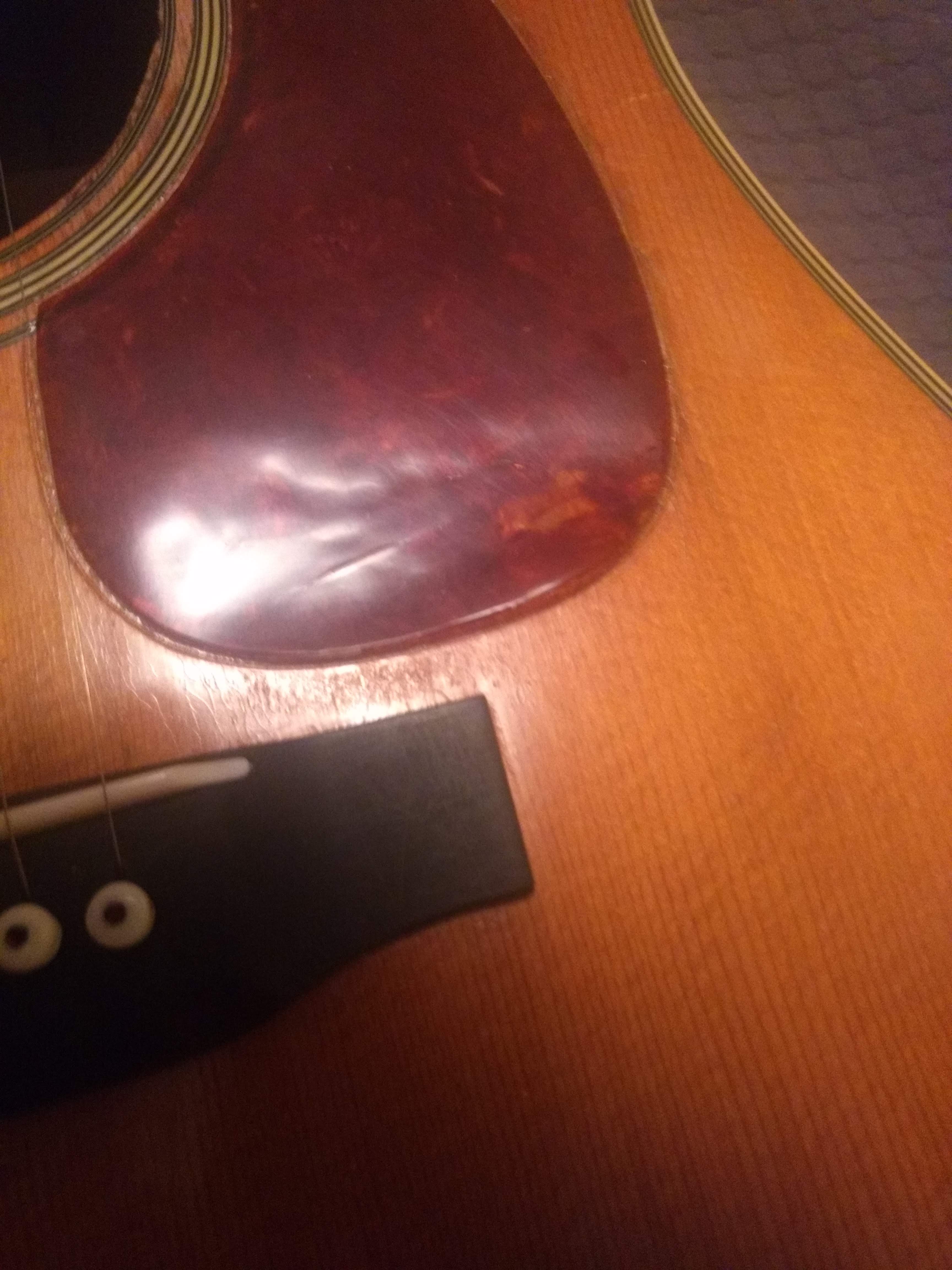 IMG_20181211_202239664_BURST000_COVER